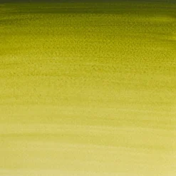 Winsor & Newton Farba akwarelowa Professional w półkostce - - Olive Green