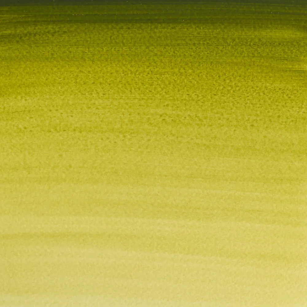 Winsor & Newton Farba akwarelowa Professional w półkostce - - Olive Green