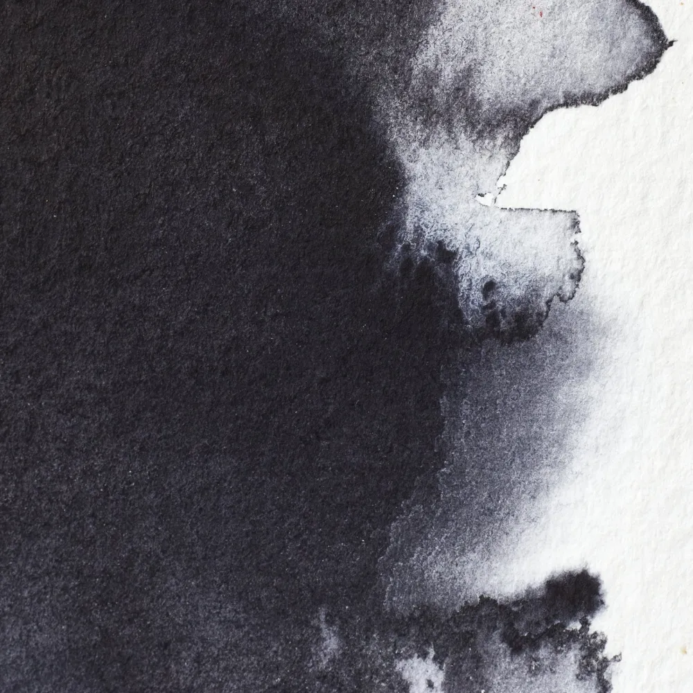 Winsor & Newton Farba akwarelowa Professional w półkostce - - Neutral Tint > Farby Akwarelowe