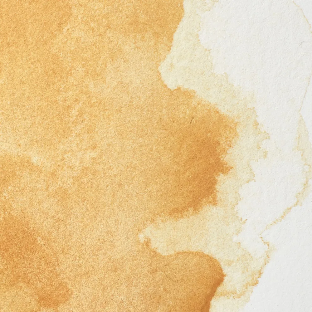Winsor & Newton Farba akwarelowa Professional w półkostce - - Naples Yellow > Farby Akwarelowe