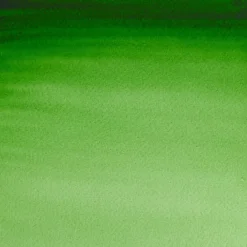 Winsor & Newton Farba akwarelowa Professional w półkostce - - Hooker’s Green ><noscript><img width=