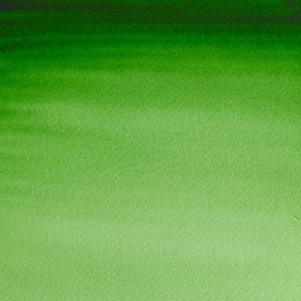 Winsor & Newton Farba akwarelowa Professional w półkostce - - Hooker’s Green > Farby Akwarelowe