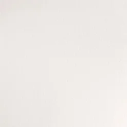 Winsor & Newton Farba akwarelowa Professional Watercolour - - China White, 5 ml > Farby Akwarelowe