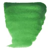 Van Gogh Farba akwarelowa - - Permanent Green 10 ml > Farby Akwarelowe