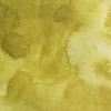 Kuretake Farba akwarelowa w kostce Gansai Tambi - - Green Gold