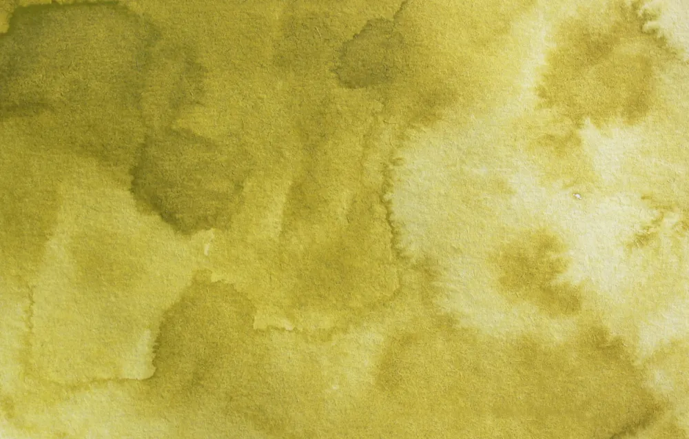 Kuretake Farba akwarelowa w kostce Gansai Tambi - - Green Gold