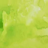 Kuretake Farba akwarelowa w kostce Gansai Tambi - - Lime Green