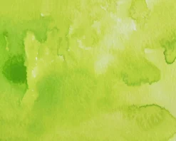 Kuretake Farba akwarelowa w kostce Gansai Tambi - - Lime Green