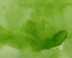 Kuretake Farba akwarelowa w kostce Gansai Tambi - - Greenish Yellow > Farby Do Kaligrafii|Farby Akwarelowe