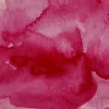 Kuretake Farba akwarelowa w kostce Gansai Tambi - - Rose Madder Deep