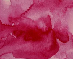Kuretake Farba akwarelowa w kostce Gansai Tambi - - Rose Madder Deep