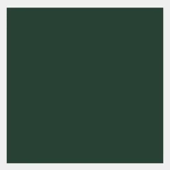 Talens Farba gwasz Gouache Extra Fine - - Fir Green, 50 ml