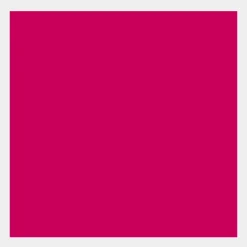 Talens Farba gwasz Gouache Extra Fine - - Rose, 50 ml