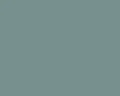 Lefranc & Bourgeois Farba gwasz Linel - - Silver 14 ml