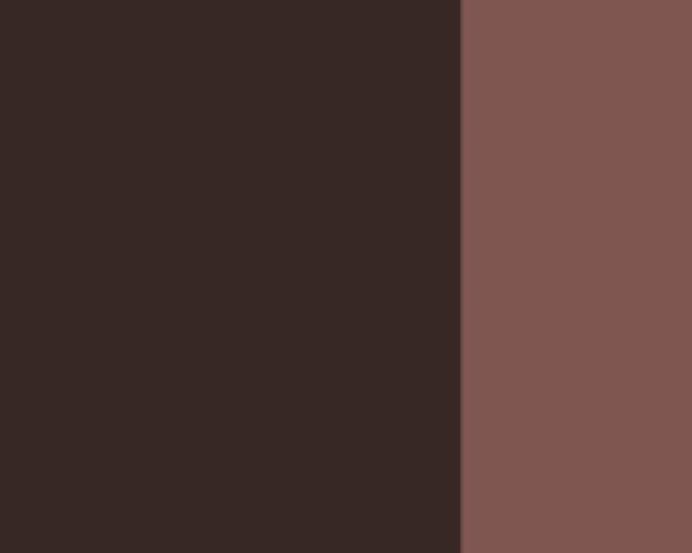 Lefranc & Bourgeois Farba gwasz Linel - - Burnt Umber 14 ml > Farby Gwasze I Tempery
