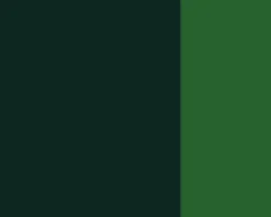 Lefranc & Bourgeois Farba gwasz Linel - - Sap Green 14 ml