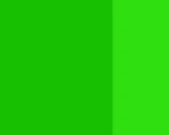 Lefranc & Bourgeois Farba gwasz Linel - - Brilliant Green 14 ml
