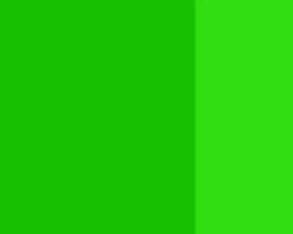 Lefranc & Bourgeois Farba gwasz Linel - - Brilliant Green 14 ml