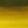 Winsor & Newton Farba olejna Artists' Oil Colour - - Green Gold, 37 ml > Farby Olejne