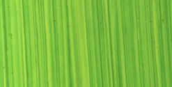 Michael Harding Farba olejna - - 117, Unbleached Titanium Dioxide, 40 ml ><noscript><img width=