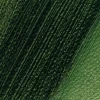 Schmincke Farba olejna Norma Professional - - 514, Sap Green, 35 ml