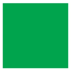 Rembrandt Farba olejna - - Emerald Green, 40 ml