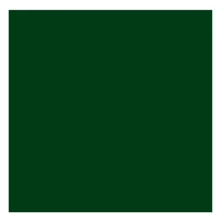 Rembrandt Farba olejna - - Green Earth, 40 ml > Farby Olejne
