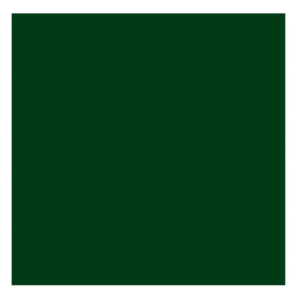 Rembrandt Farba olejna - - Green Earth, 40 ml > Farby Olejne