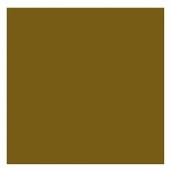 Rembrandt Farba olejna - - Greenish Umber, 40 ml > Farby Olejne