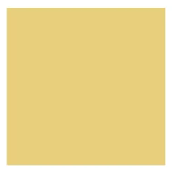 Rembrandt Farba olejna - - Naples Yellow Deep, 40 ml
