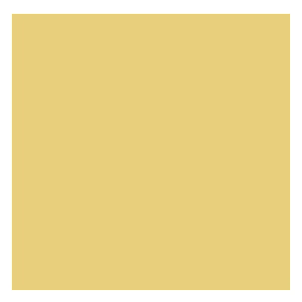 Rembrandt Farba olejna - - Naples Yellow Deep, 40 ml