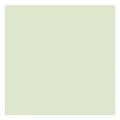 Rembrandt Farba olejna - - Naples Yellow Green, 40 ml > Farby Olejne