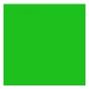Rembrandt Farba olejna - - Permanent Green Light, 40 ml