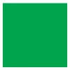 Rembrandt Farba olejna - - Permanent Green Medium, 40 ml > Farby Olejne