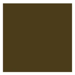 Rembrandt Farba olejna - - Raw Umber, 40 ml > Farby Olejne