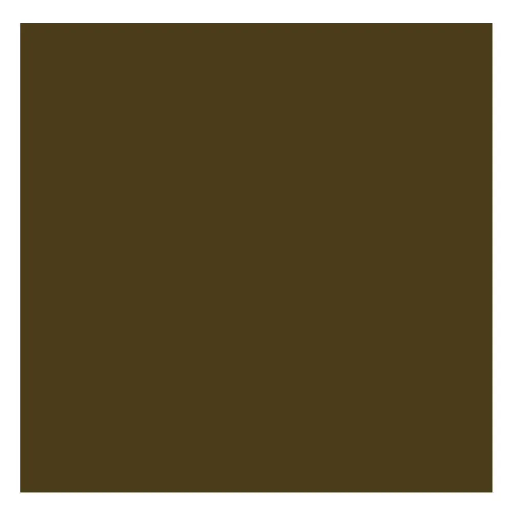 Rembrandt Farba olejna - - Raw Umber, 40 ml > Farby Olejne