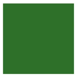Rembrandt Farba olejna - - Sap Green, 40 ml > Farby Olejne