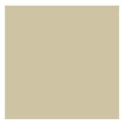 Rembrandt Farba olejna - - Silver, 40 ml > Farby Olejne