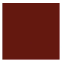 Rembrandt Farba olejna - - Transparent Oxide Brown, 40 ml > Farby Olejne