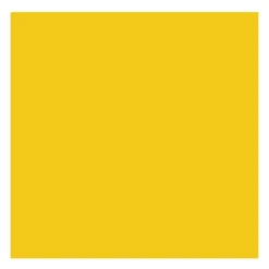 Rembrandt Farba olejna - - Transparent Yellow Medium, 40 ml