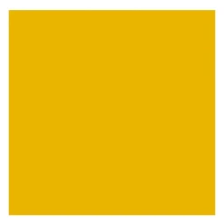 Rembrandt Farba olejna - - Yellow Ochre Light, 40 ml