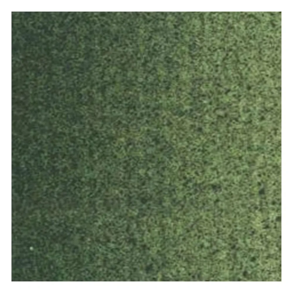 Van Gogh Farba olejna - - Green Earth, 200 ml