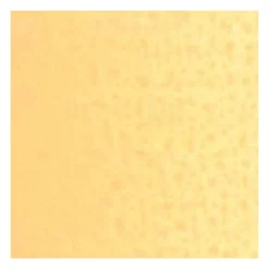 Van Gogh Farba olejna - - Naples Yellow Red, 40 ml > Farby Olejne