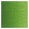 Van Gogh Farba olejna - - Sap Green, 200 ml
