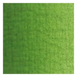 Van Gogh Farba olejna - - Sap Green, 200 ml