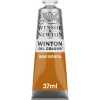 Winsor & Newton Farba olejna Winton Oil Colour - - Raw Sienna, 37 ml