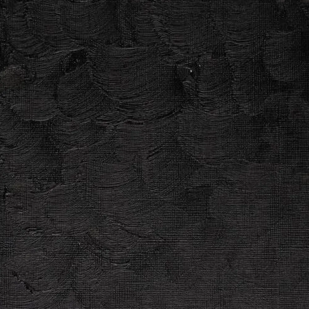 Winsor & Newton Farba olejna Winton Oil Colour - - ivory black, 200 ml > Farby Olejne