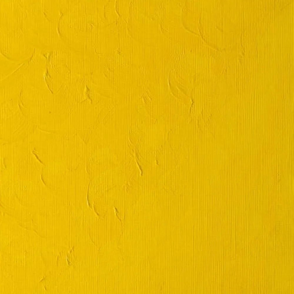 Winsor & Newton Farba olejna Winton Oil Colour - - cadmium yellow pale hue, 200 ml > Farby Olejne
