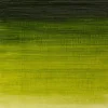 Winsor & Newton Farba olejna Winton Oil Colour - - sap green, 200 ml