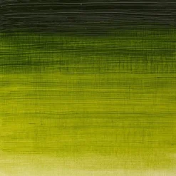 Winsor & Newton Farba olejna Winton Oil Colour - - sap green, 200 ml